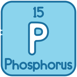 phosphor icon