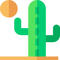 cactus icoon