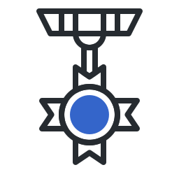 Medal  icon