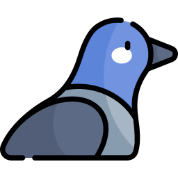 pigeon Icône