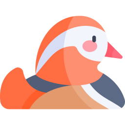 Mandarin duck icon