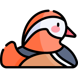 Mandarin duck icon