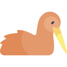 Kiwi icon