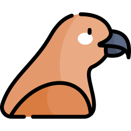 Hawk icon