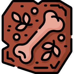 化石 icon