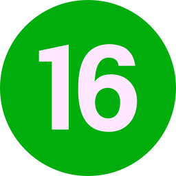 열여섯 icon