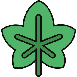 Maple leaf icon