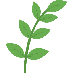 나뭇잎 디자인 icon