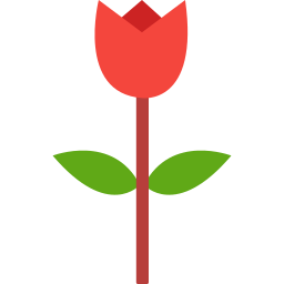 flor rosa Ícone