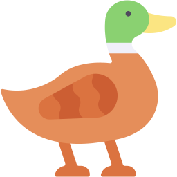 canard Icône