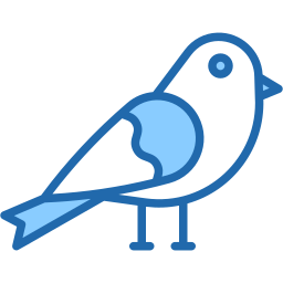 Sparrow bird icon