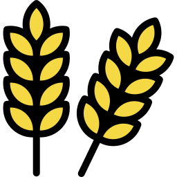 Wheat grain icon