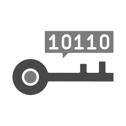Key programming icon