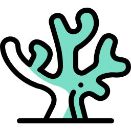 Coral icon