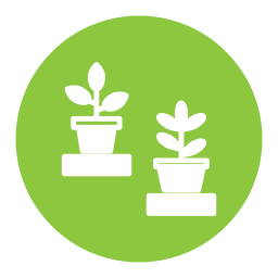 Plant Pot icon