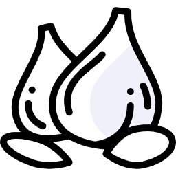 Garlic icon