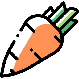 Carrot icon