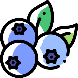 Blueberries icon