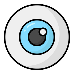 Eyeball  icon