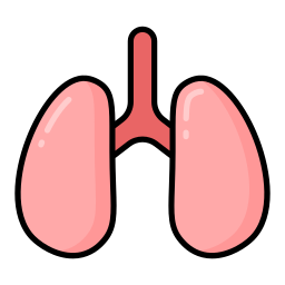 Lung icon