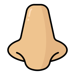 nase icon