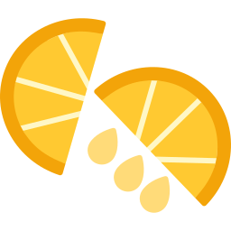 schijfje citroen icoon