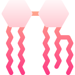 błona bakteryjna ikona