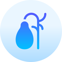 Gallbladder icon