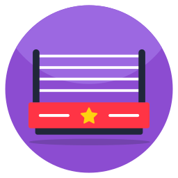 boxring icon