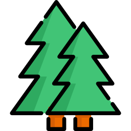 spruce Ícone