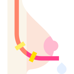 lactation иконка
