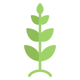 Plant leaf icon