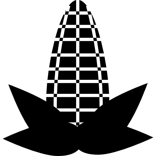 Corn cob  icon