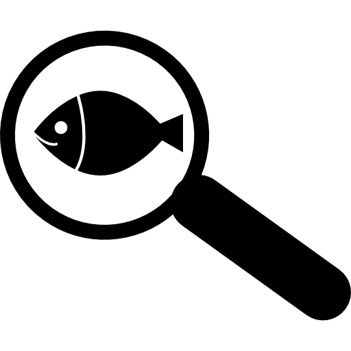 Magnifying glass and fish  icon