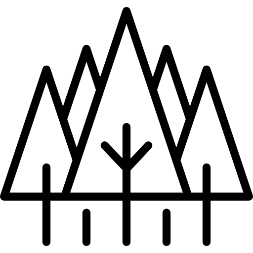 bosque Special Lineal icono