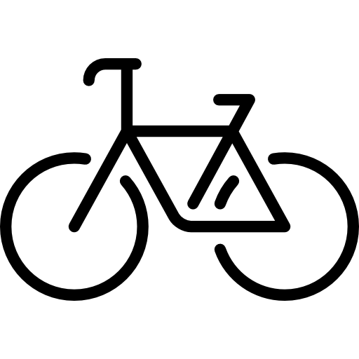 Bicycle Special Lineal icon