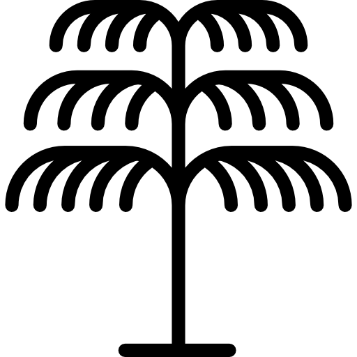 종려 나무  icon