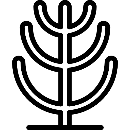 cactus  icono