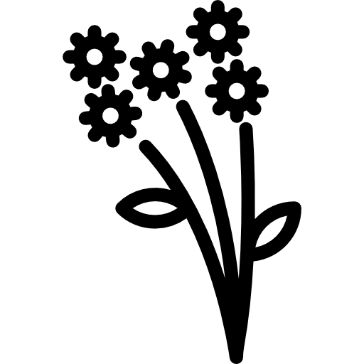 デイジーの花束  icon