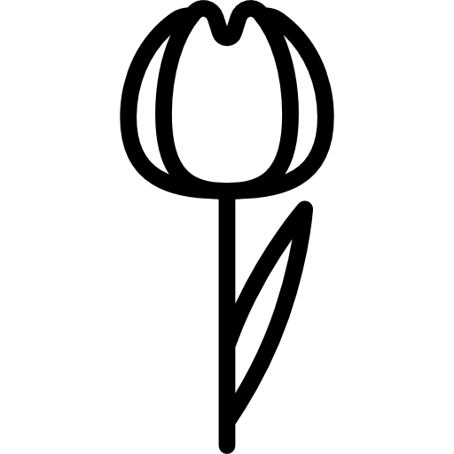 tulpe  icon