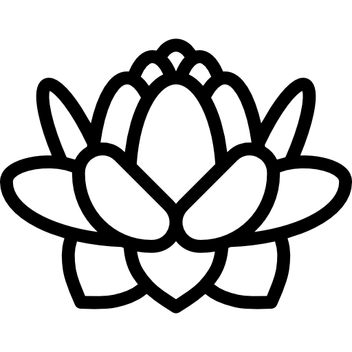 loto  icono