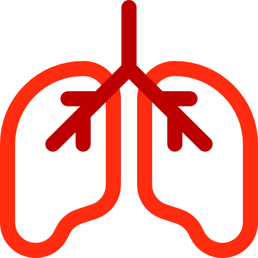 Lungs Basic Rounded Lineal Color icon