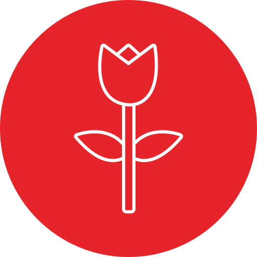 rosa Generic color fill icono