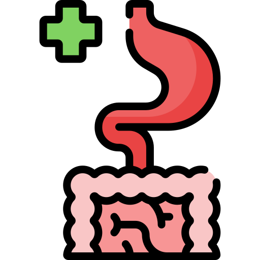 Digestive Special Lineal color icon