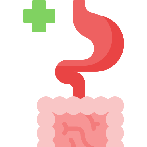 Digestive Special Flat icon
