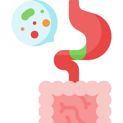 microbiota intestinale Special Flat icona