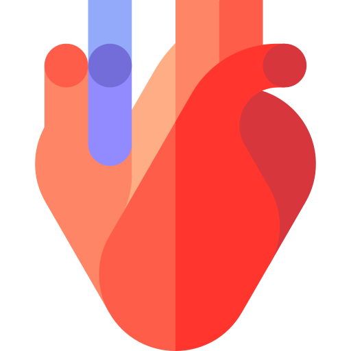 corazón Basic Straight Flat icono