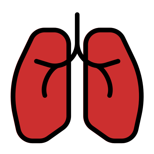 pulmão Generic color lineal-color Ícone