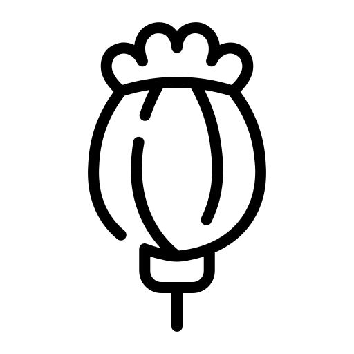 아편 Generic black outline icon