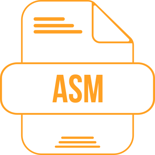 Asm Generic color outline icon